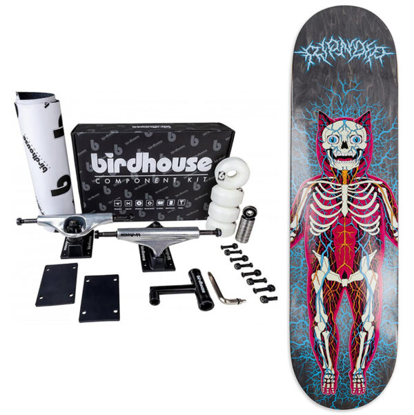 SKATEBOARD COMPLETO RIPNDIP DA ASSEMBLARE CON KIT BIRDHOUSE & TAVOLA RIPNDIP NERVOUS SYSTEM