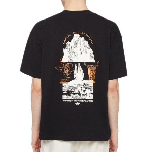 DICKIES T-shirt Pearisburg boxy tee black - immagine 4