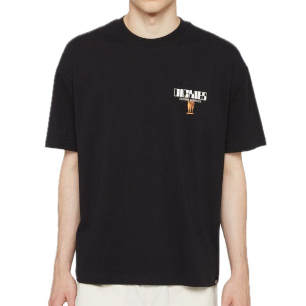 DICKIES T-shirt Pearisburg boxy tee black - immagine 3