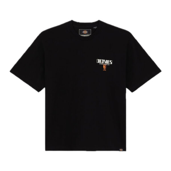 DICKIES T-shirt Pearisburg boxy tee black
