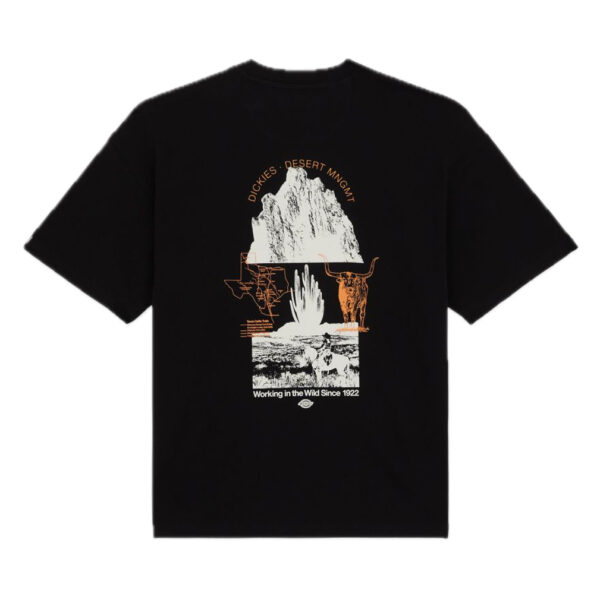 DICKIES T-shirt Pearisburg boxy tee black - immagine 2