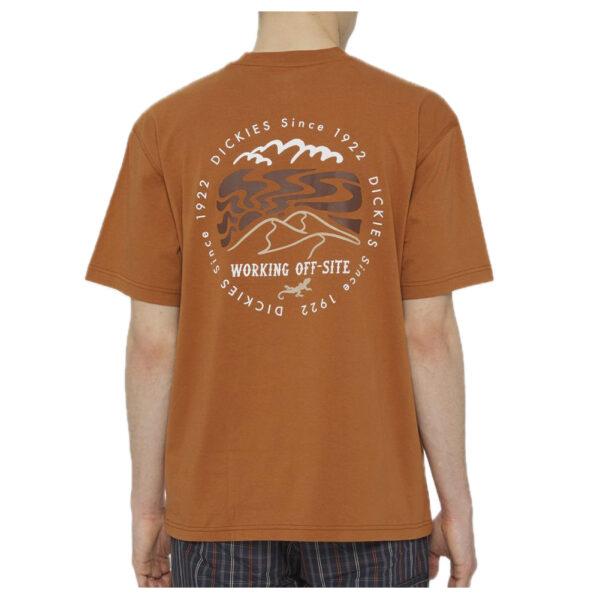 DICKIES t-shirt standardsville tee mocha bisquit - immagine 2
