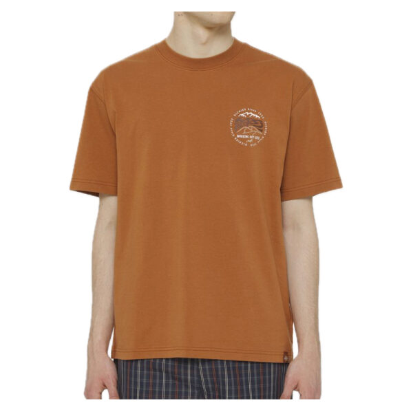 DICKIES t-shirt standardsville tee mocha bisquit - immagine 3