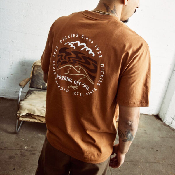 DICKIES t-shirt standardsville tee mocha bisquit