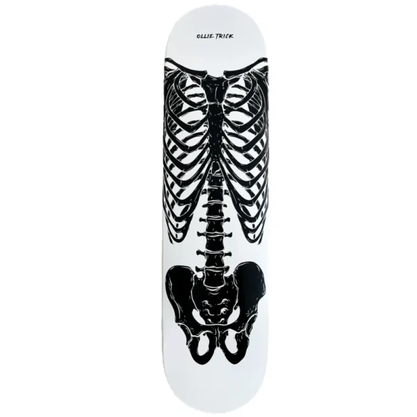 SKATEBOARD COMPLETO DA ASSEMBLARE CON KIT BIRDHOUSE & TAVOLA SKELETON 2025 - immagine 2